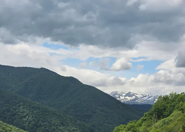 Nid Panoramique Massat