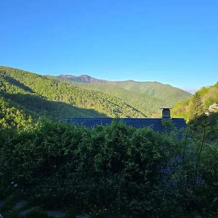 Chalet Nid Panoramique *