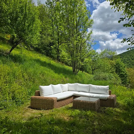 Nid Panoramique * Massat