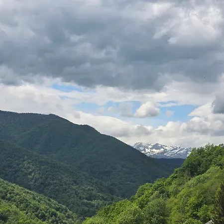 Nid Panoramique Massat